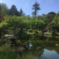 Image of Japanese style garden (San Francisco)